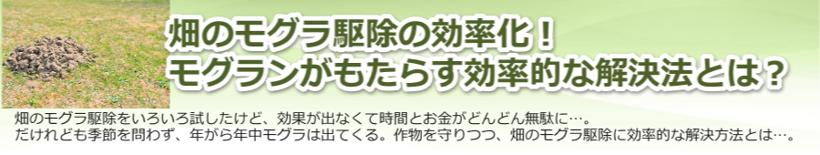 ���̃��O���쏜�̌������I���O�����������炷�����I�ȉ����@�Ƃ́H